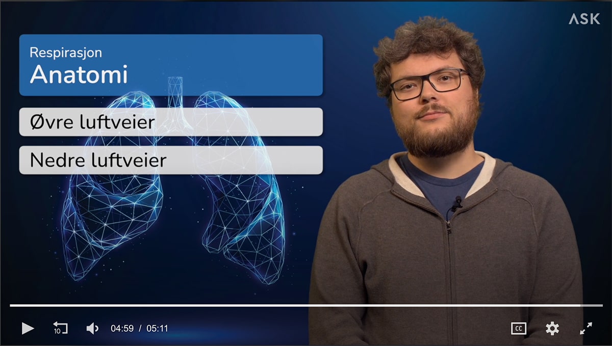 Skjermbilde fra videoundervisning