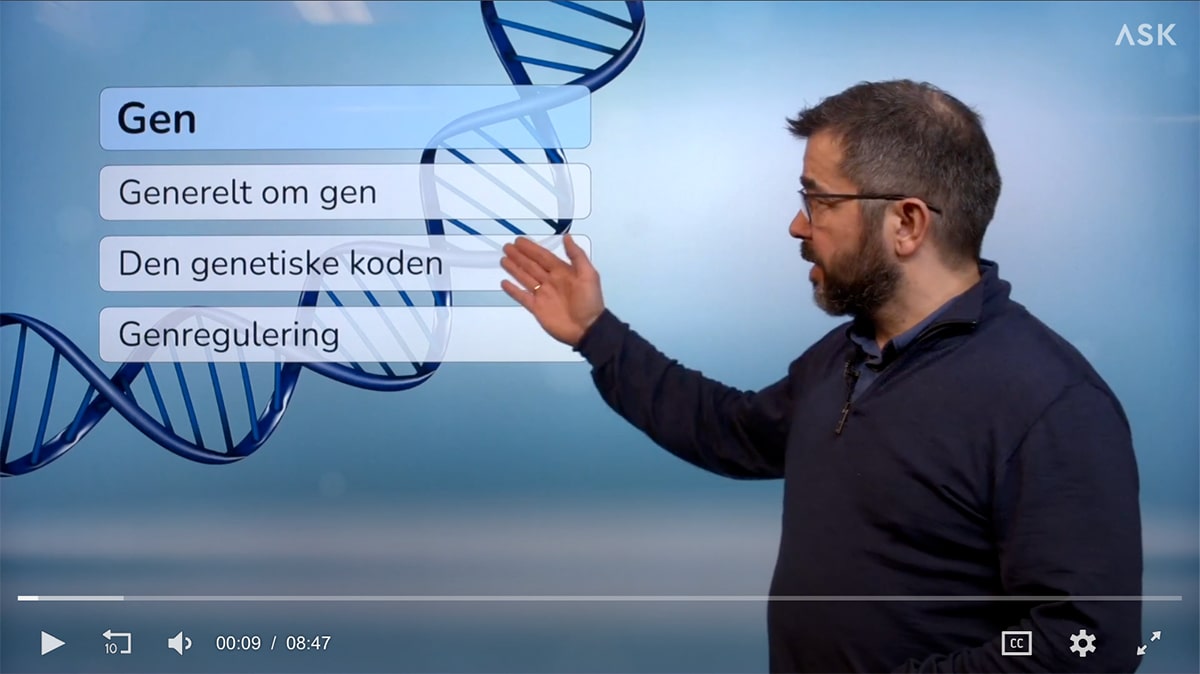 Skjermbilde fra videoundervisning