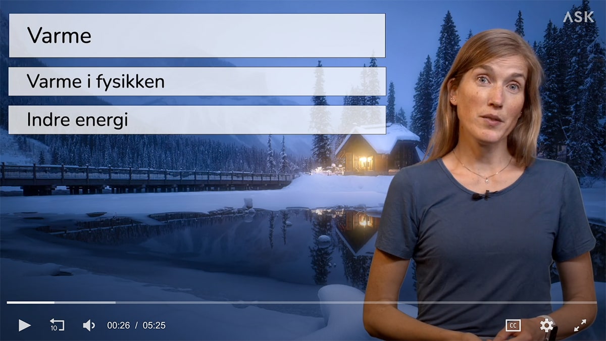 Skjermbilde fra videoundervisning